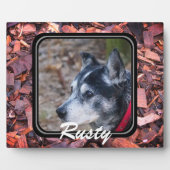 Erstellen Sie Ihre eigene Heimtierplakette Fotoplatte (Vorderseite)