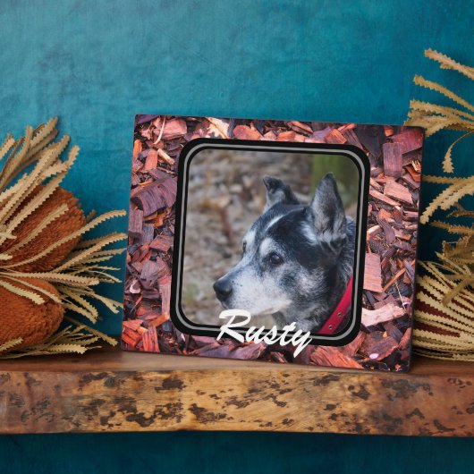Erstellen Sie Ihre eigene Heimtierplakette Fotoplatte (Seite)