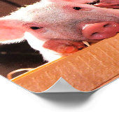 Erstellen Sie Ihre eigene lustige Foto-Liebe, die  Poster (Ecke)