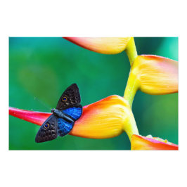 Erstellen Sie Ihre eigene Personalisierte, benutze Fotodruck