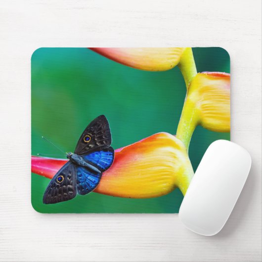 Erstellen Sie Ihre eigene Personalisierte, benutze Mousepad (Mit Mouse)