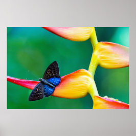 Erstellen Sie Ihre eigene Personalisierte, benutze Poster