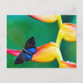 Erstellen Sie Ihre eigene Personalisierte, benutze Postkarte (Vorderseite)