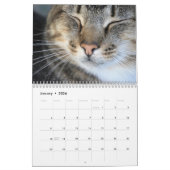 Erstellen Sie Ihre eigene Pet Foto Navy Blue Cover Kalender (Jan 2026)