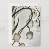 Erstellen Sie Ihre eigene Sepia X-Ray Lily im Tal Einladung (Rückseite)