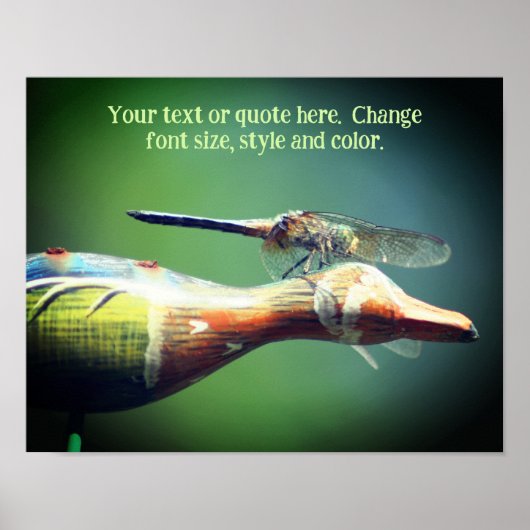 Erstellen Sie Ihre eigene Text-Dragonfly-Natur Poster (Vorne)