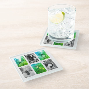 Erstellen Sie Ihre eigene Unglaublich witzig Hunde Glasuntersetzer