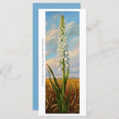 Erstellen Sie Ihre eigene White Hyacinth Field Les (Vorne/Hinten)