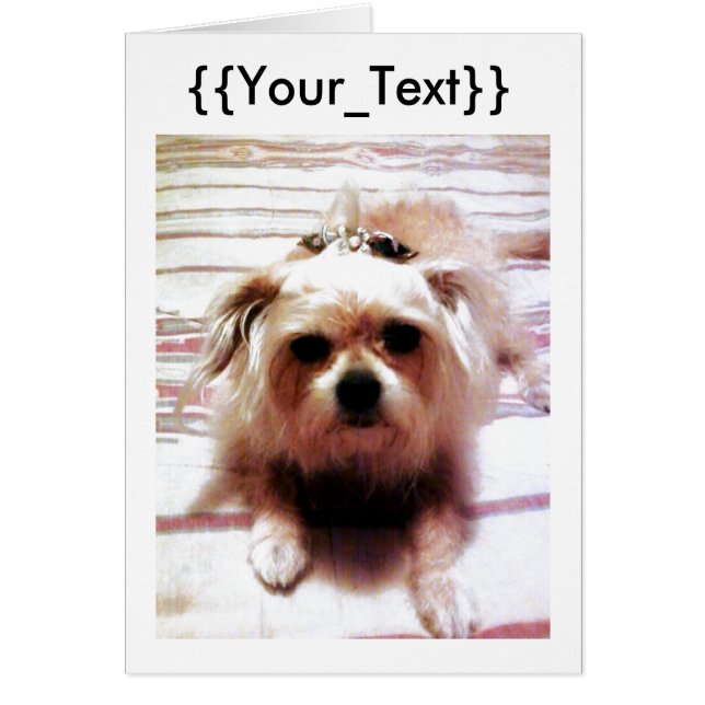 Erstellen Sie Ihre eigenen (Vorne)