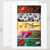 Erstellen Sie Ihre eigenen 5 Lesezeichen für versc (Vorne/Hinten)