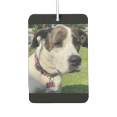 Erstellen Sie Ihre eigenen Autolufterfrischer (Vorderseite)