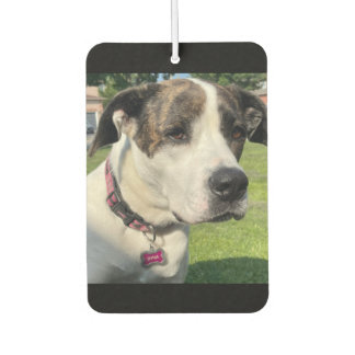 Erstellen Sie Ihre eigenen Autolufterfrischer