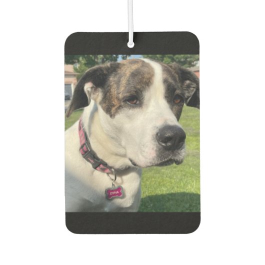 Erstellen Sie Ihre eigenen Autolufterfrischer (Vorderseite)