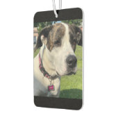 Erstellen Sie Ihre eigenen Autolufterfrischer (Links)