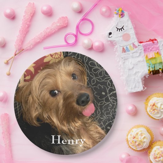 Erstellen Sie Ihre eigenen Foto-Familienmitglieder Pappteller (Party)