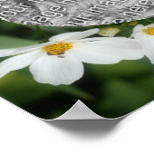 Erstellen Sie Ihre eigenen Foto Kosmos-Blume und B Poster (Ecke)