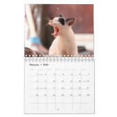 Erstellen Sie Ihre eigenen Fotos für Heimtiere 202 Kalender (Feb 2026)