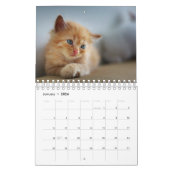 Erstellen Sie Ihre eigenen Fotos für Heimtiere 202 Kalender (Jan 2026)