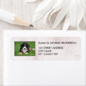 Erstellen Sie Ihre eigenen Haustiere Marmor-Rückse (Insitu)