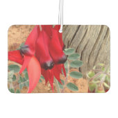 Erstellen Sie Ihre eigenen Lufterfrischer (Rückseite)