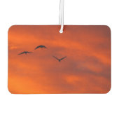 Erstellen Sie Ihre eigenen Lufterfrischer (Rückseite)