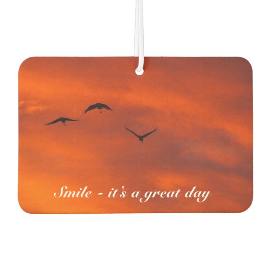 Erstellen Sie Ihre eigenen Lufterfrischer (Vorderseite)