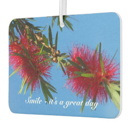 Erstellen Sie Ihre eigenen Lufterfrischer