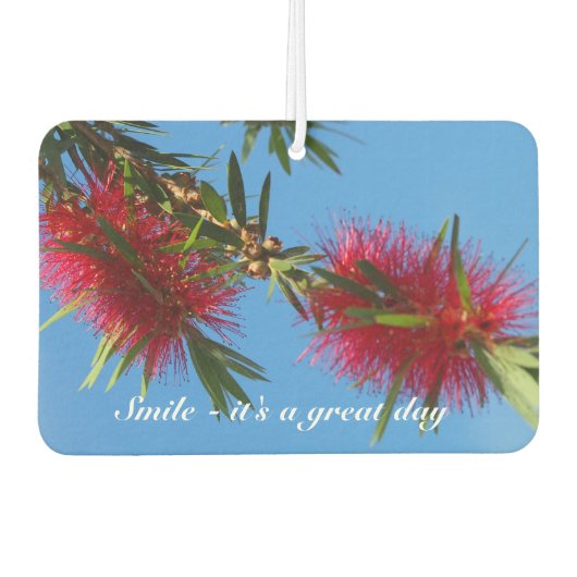 Erstellen Sie Ihre eigenen Lufterfrischer (Vorderseite)