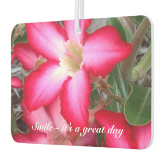 Erstellen Sie Ihre eigenen Lufterfrischer