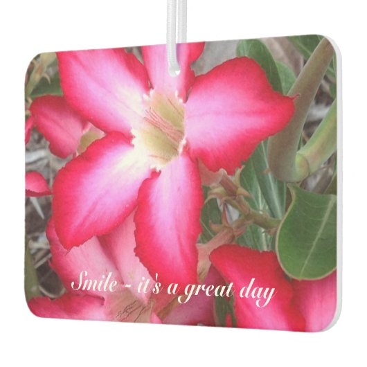 Erstellen Sie Ihre eigenen Lufterfrischer (Links)