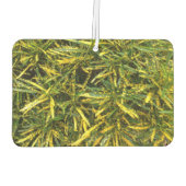 Erstellen Sie Ihre eigenen Lufterfrischer (Rückseite)