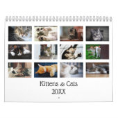 Erstellen Sie Ihre eigenen Niedlichen Katzen Kätzc Kalender (Titelbild)