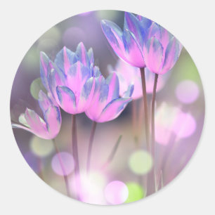 Erstellen Sie Ihre eigenen personalisierten Bokeh Runder Aufkleber