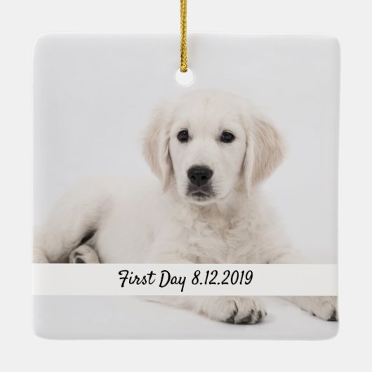 Erstellen Sie Ihre eigenen Pet-Memorys Sake-Gesche Keramikornament (Rückseite)