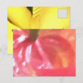 ERSTELLEN SIE IHRE EIGENEN POSTCARDS POSTKARTE (Vorne/Hinten)