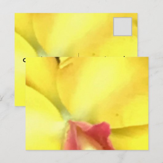 ERSTELLEN SIE IHRE EIGENEN POSTCARDS POSTKARTE (Vorne/Hinten)