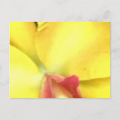 ERSTELLEN SIE IHRE EIGENEN POSTCARDS POSTKARTE (Vorderseite)
