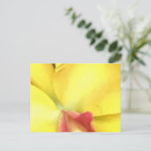 ERSTELLEN SIE IHRE EIGENEN POSTCARDS POSTKARTE (Stehend Vorderseite)