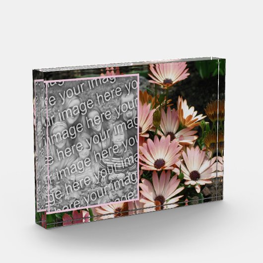 Erstellen Sie Ihre eigenen rosa afrikanischen Dais Fotoblock (Links)