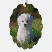 Erstellen Sie Ihre eigenen zweiseitigen Hunde-Foto Ornament Karte (Links)