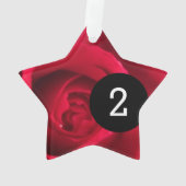 Erstellen Sie Ihren eigenen einfachen 2-Bilder-Ste Ornament (Rückseite)