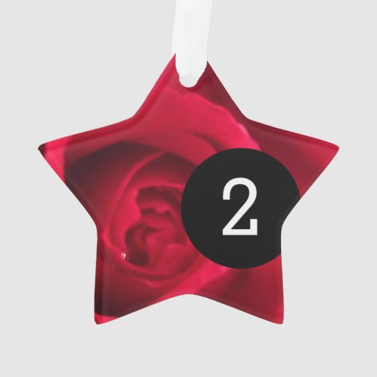 Erstellen Sie Ihren eigenen einfachen 2-Bilder-Ste Ornament (Rückseite)