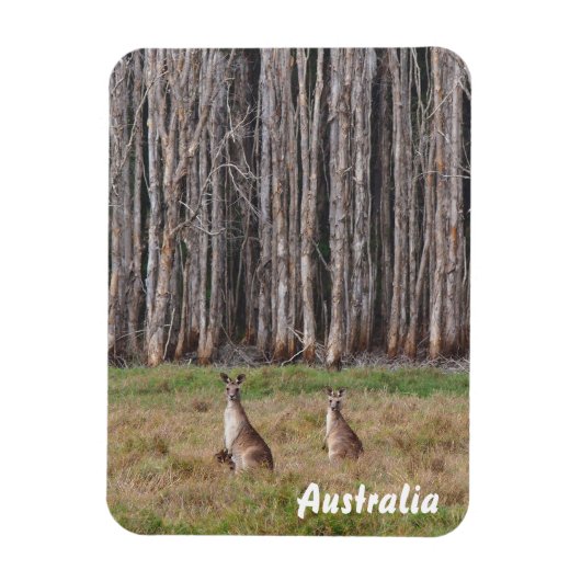 Erstellen Sie Ihren eigenen Foto-Magneten Magnet (Vertikal)