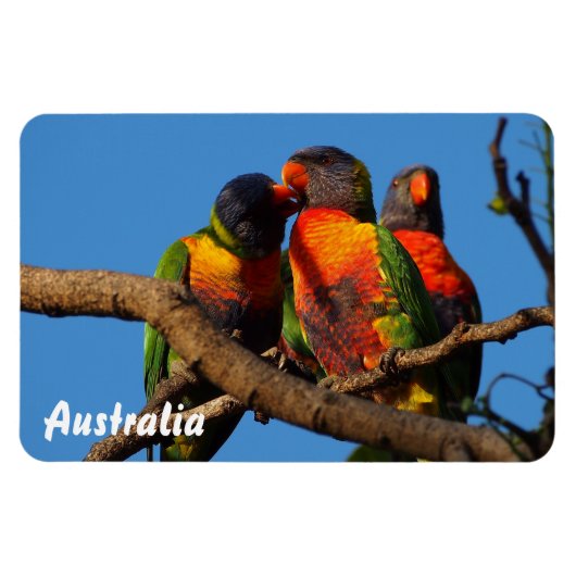 Erstellen Sie Ihren eigenen Foto-Magneten Magnet (Horizontal)