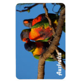 Erstellen Sie Ihren eigenen Foto-Magneten Magnet (Vertikal)