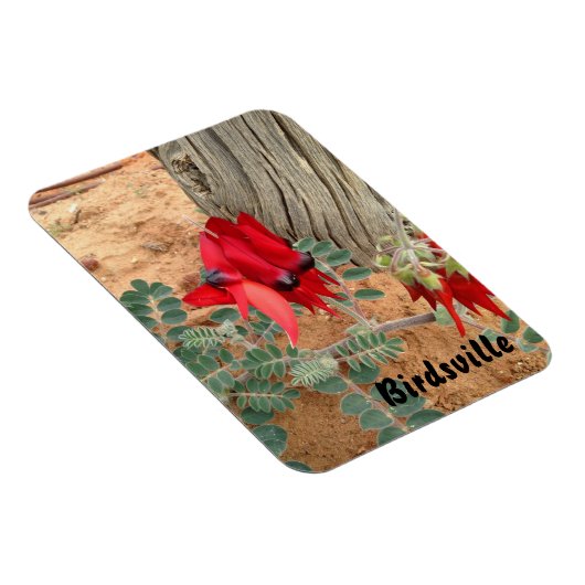 Erstellen Sie Ihren eigenen Foto-Magneten Magnet (Rechte Seite)