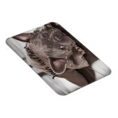 Erstellen Sie Ihren eigenen Kühlschrank für den Ha Magnet (Rechte Seite)