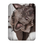 Erstellen Sie Ihren eigenen Kühlschrank für den Ha Magnet (Vertikal)