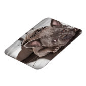 Erstellen Sie Ihren eigenen Kühlschrank für den Ha Magnet (Linke Seite)