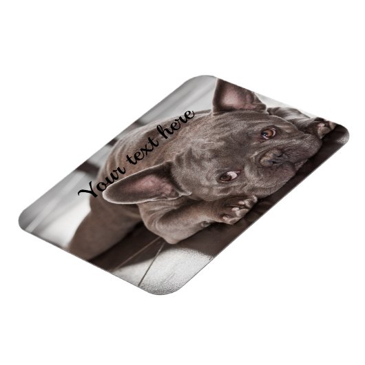 Erstellen Sie Ihren eigenen Kühlschrank für den Ha Magnet (Linke Seite)